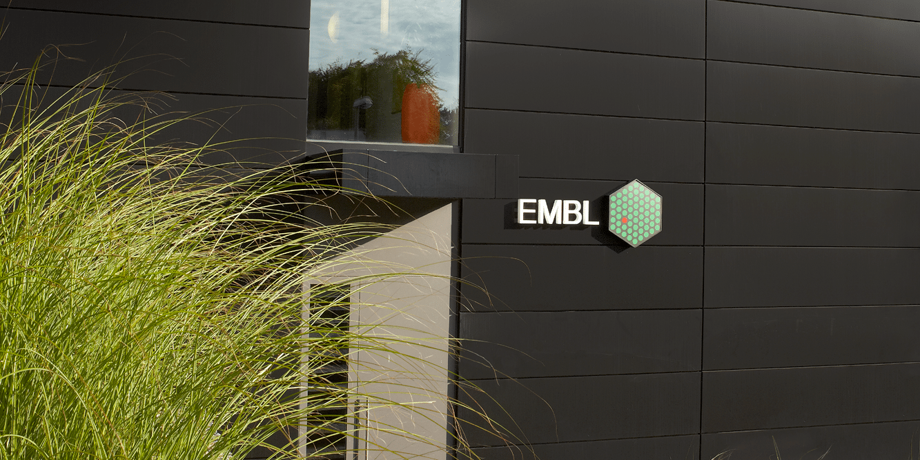 EMBL Hamburg building